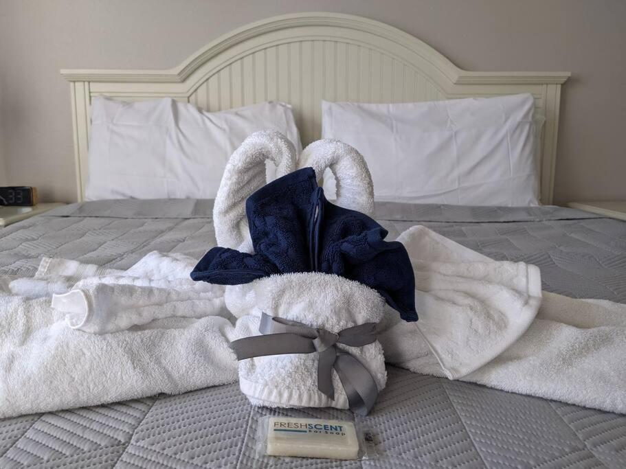 & Cozy - Vacation Kissimmee