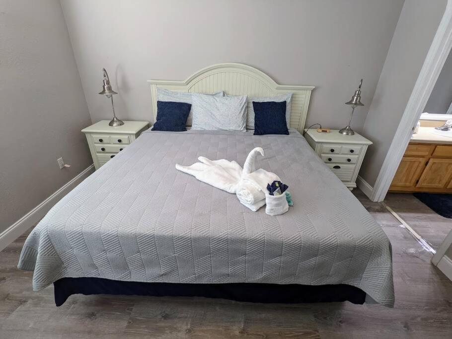 Apartamento & Cozy - Vacation Kissimmee