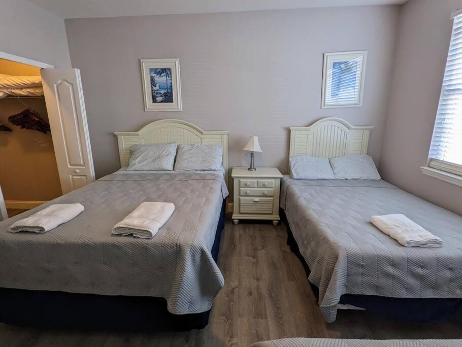 & Cozy - Vacation Apartamento *
